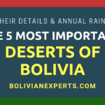 How Much of Bolivia is a Desert? All the Details and Facts